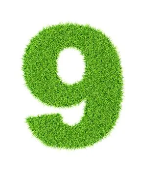 Grass number 9 Stock-Illustration