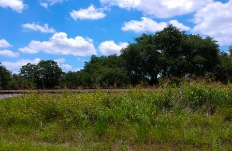 Grass over the tracks Foto stock