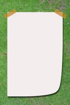 Grass with paper. Stock Photos