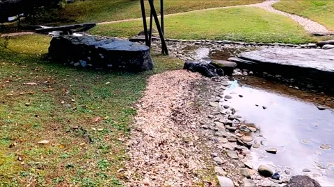 Grass in the park Stock Footage 234445980