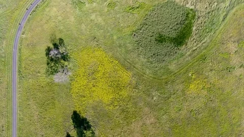 Grass park trail top down houses Stock Footage 80795590