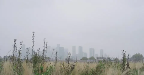 Grass Patch in front of Canary Wharf Skyline in London Stock Footage 291166816