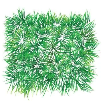 Grass patch grass patch, that can be re-arranged for seamless effect Copyr... Stock Photos