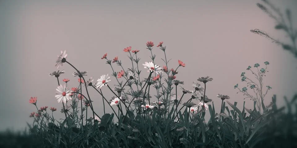 Grass patch isolated on white background Stock Illustration