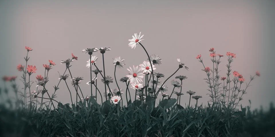 Grass patch isolated on white background Stock Illustration