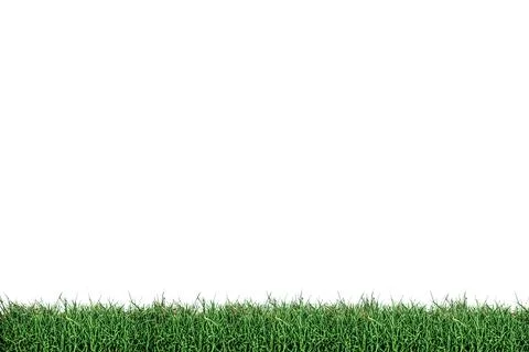 Grass patch isolated on white background Illustrazione stock