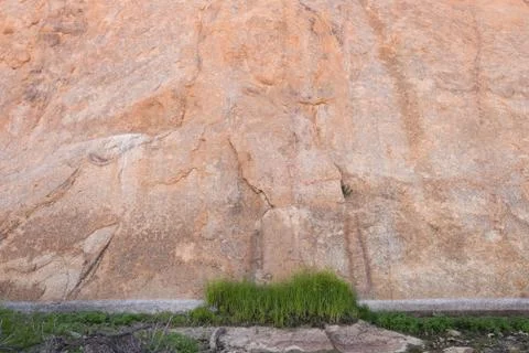 Grass patch rock wall Stock Photos