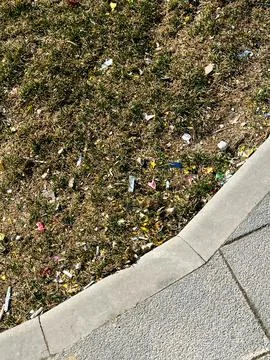 Grass patch scattered with litter next to a paved sidewalk Stock Photos