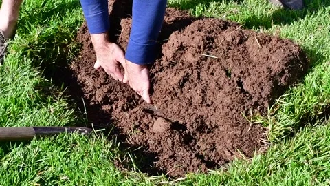 Grass patch spring summer yard work Stock Footage 255297459