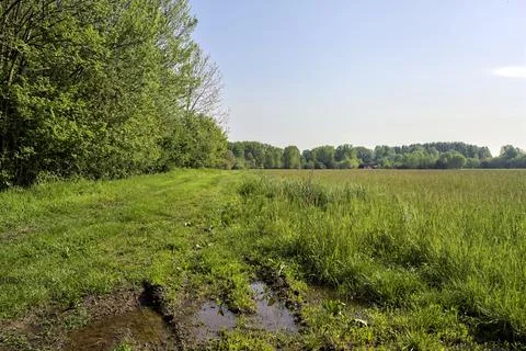 Grass path by the edge of a field Stock Photos