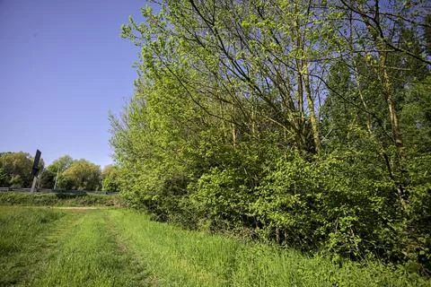Grass path by the edge of a field Stock Photos