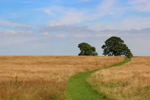 Grass path Stockfoto's