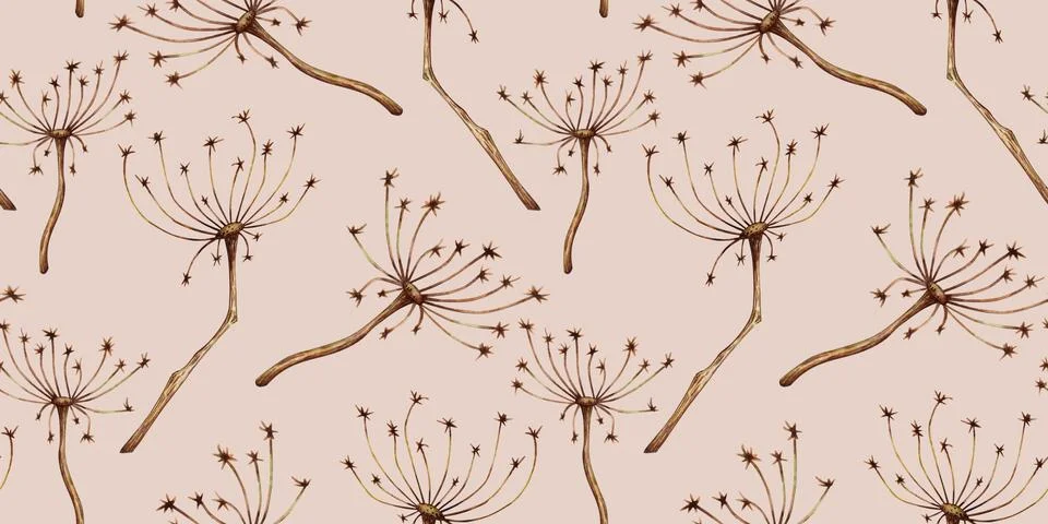 Grass pattern with inflorescence umbrellas on a beige watercolor background Stock Illustration