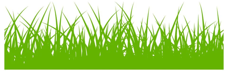Grass pattern. Spring greenery. Seamless botanical border Stock Illustration