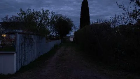 Grass paved clearing Stockfoto's