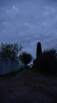 Grass paved clearing - Vertical Stockfoto's