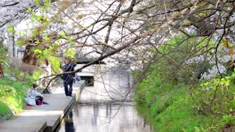 Grass, people and river Stock Footage 236689154