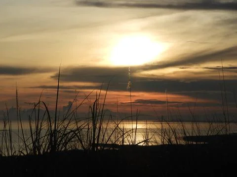 Grass Philippines Stock Photos