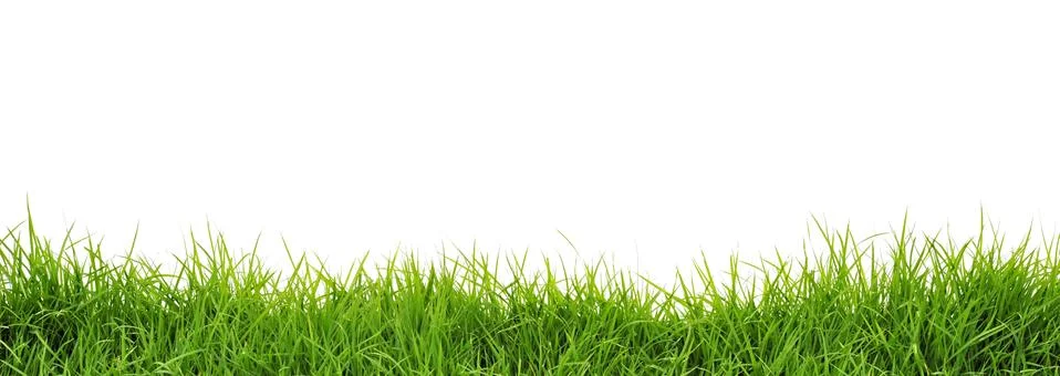 Grass Stock Photos