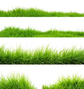 Grass Stock Photos