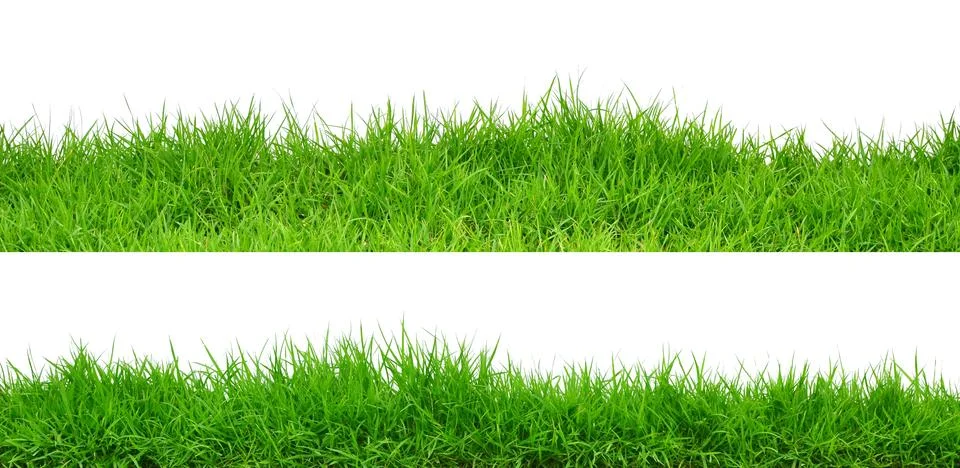 Grass Stock Photos