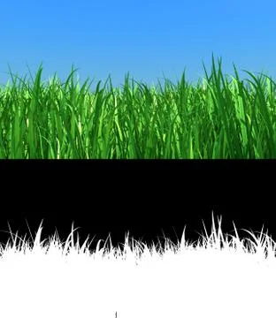 Grass Stock Photos