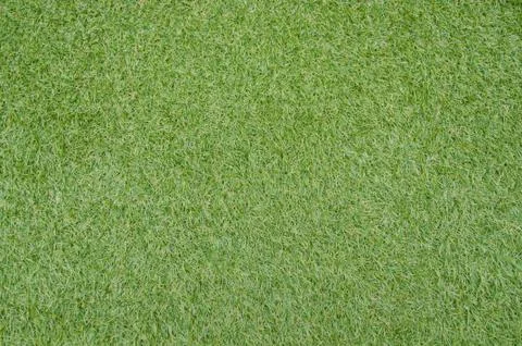 Grass Fotos de archivo