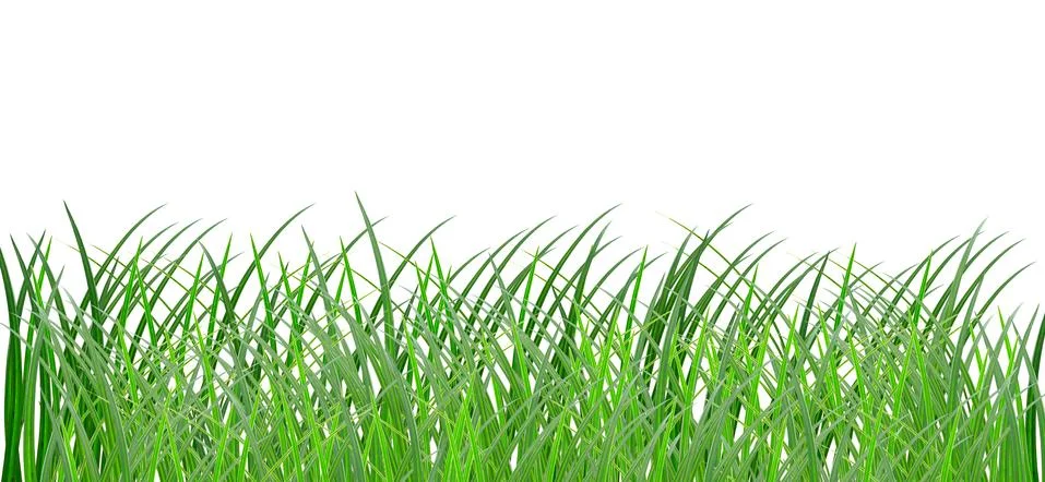 Grass Stock Photos