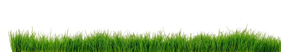Grass Stock Photos