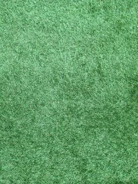 Grass 스톡 사진
