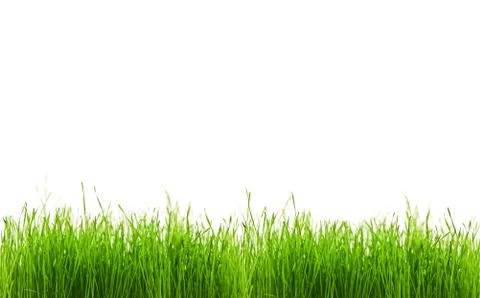 Grass Stock Photos