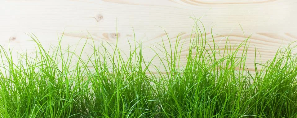 Grass Stock Photos