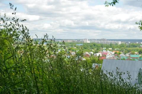 In the grass Stock Photos