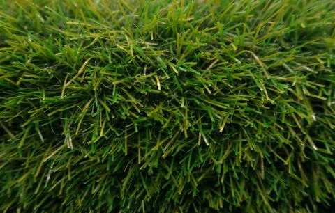 Grass Stock Photos