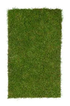 Grass piece Stock Photos