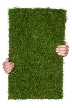 Grass piece Stock Photos