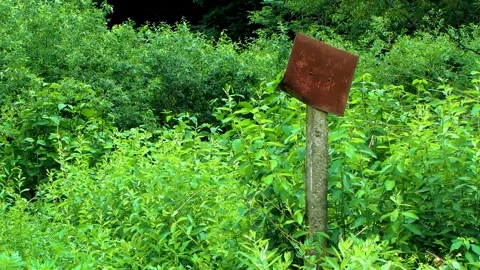 Grass pillar and rusty sign MVI 9341 7 Stock Footage 167770154
