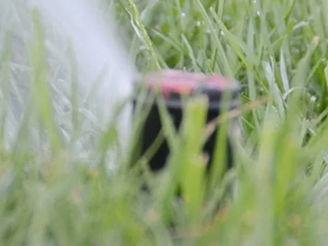 Grass polyroll. Related clips are in my portfolio in 1920x1080. Vídeos de archivo 45884681
