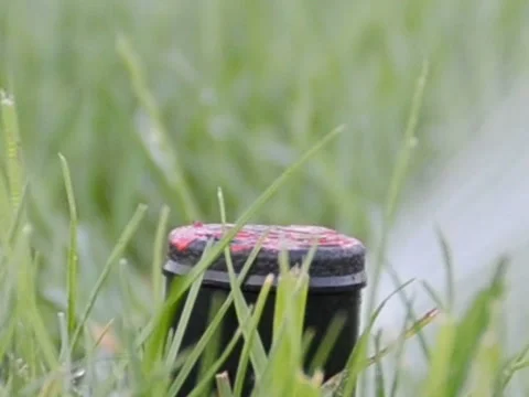 Grass polyroll. Related clips are in my portfolio in 1920x1080. Vídeos de archivo 45884710