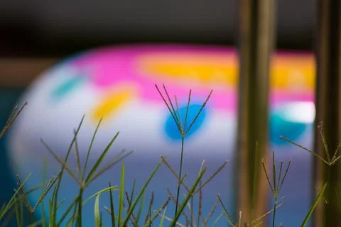 Grass in the pool with a multicolored float in the background Stock Photos