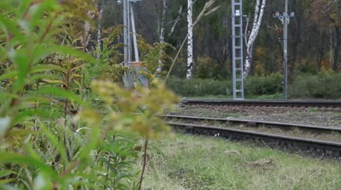 Grass at the railway 库存影片 12381154