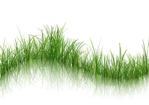 Grass with Reflection on Water 스톡 일러스트