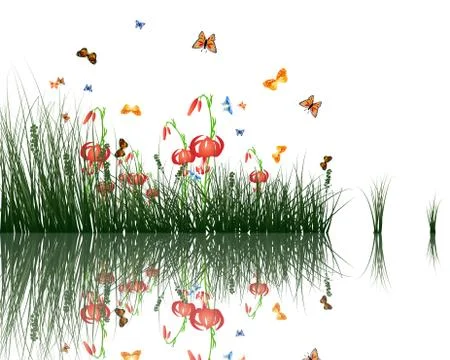Grass with reflections in water Stock Illustration