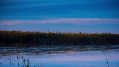 Grass river 스톡 동영상 84734186