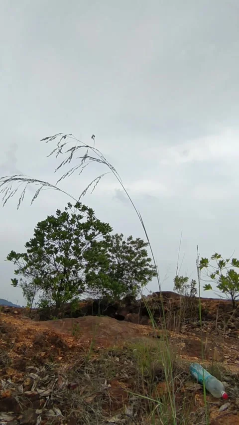 Grass rocky hill clouds Stock Footage 336045286