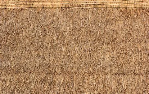 Grass roofs. Stock Photos