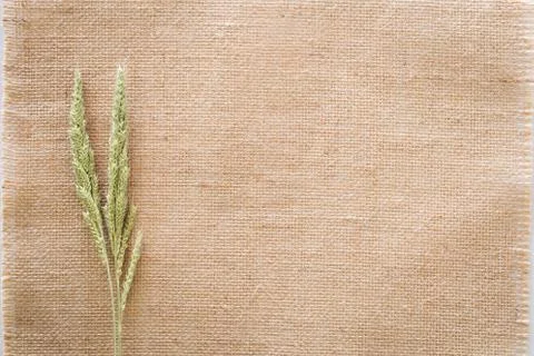 Grass on sackcloth Stock Photos