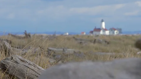Grass on sand dunes with lighthouse in background Stock Footage 87949249