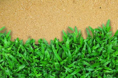 Grass on sand Stock Photos