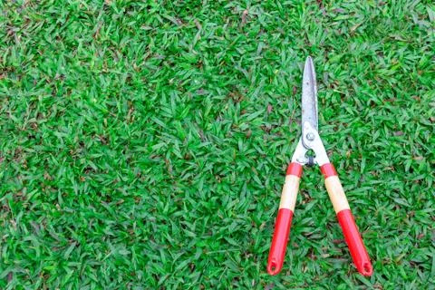 Grass scissors on green grass background 스톡 사진